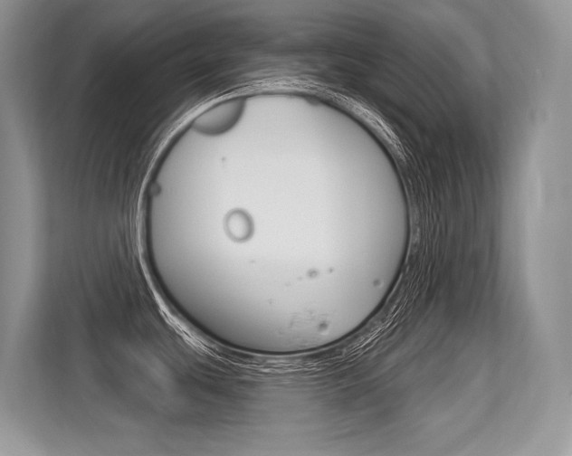 X0000113581439200909181011