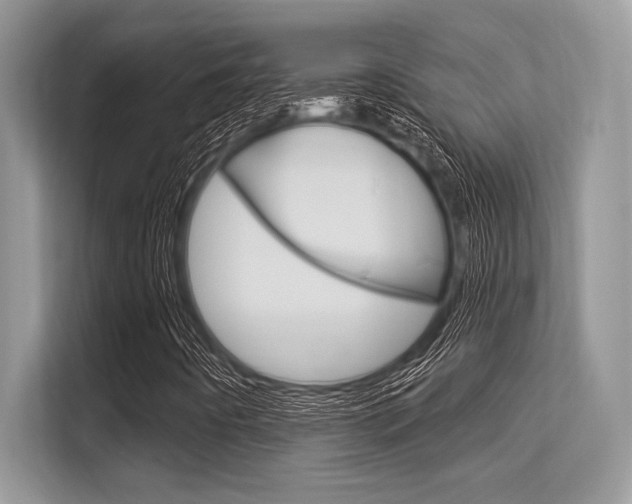 X0000113581442200909181010