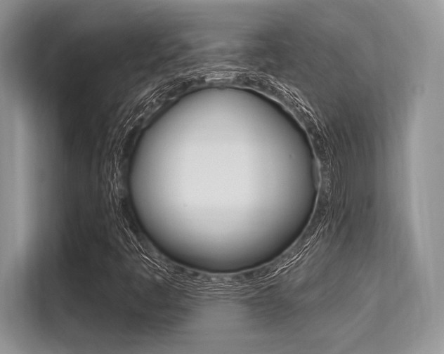 X0000113581445200909181010