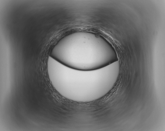 X0000113581447200909181010
