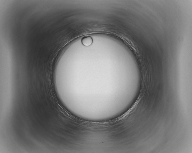 X0000113581449200909181010