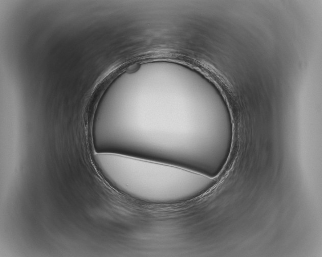 X0000113581450200909181010