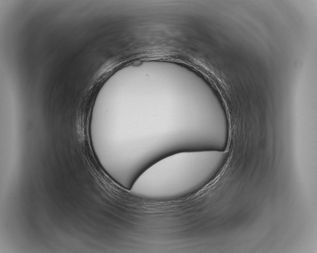 X0000113581451200909181010
