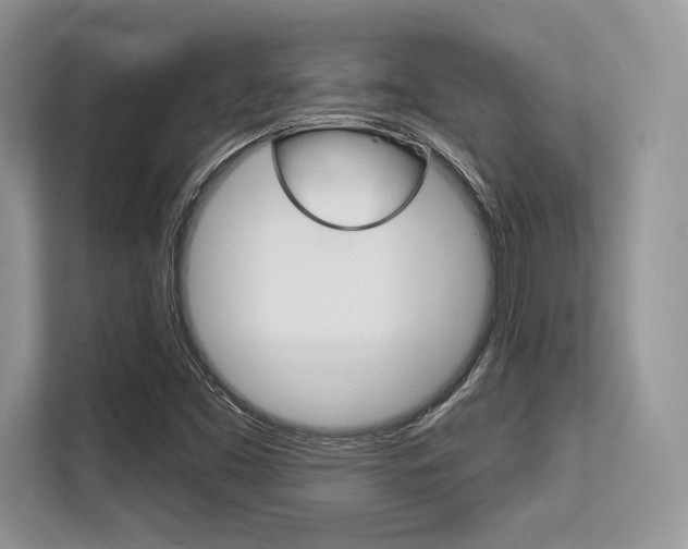 X0000113581453200909181010