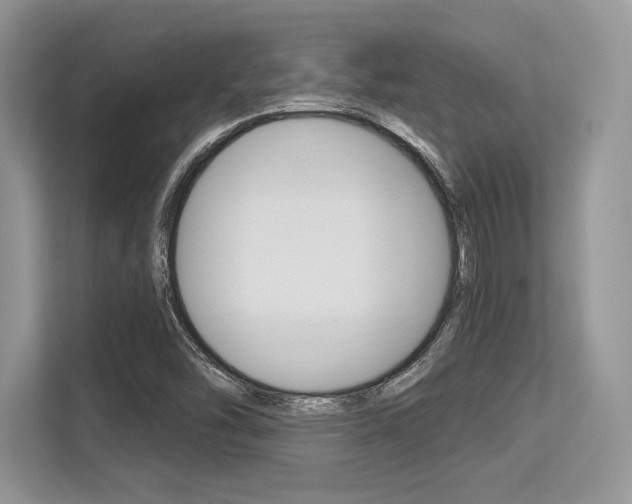 X0000113581454200909181010