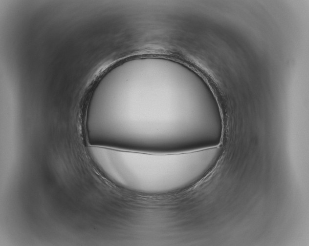X0000113581455200909181010
