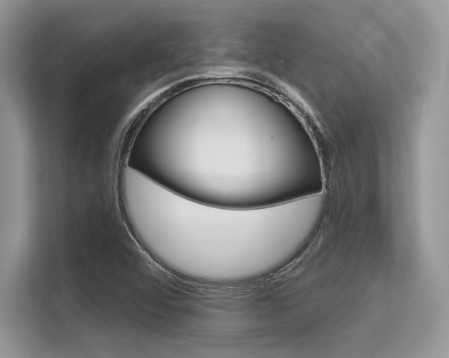 X0000113581456200909181010