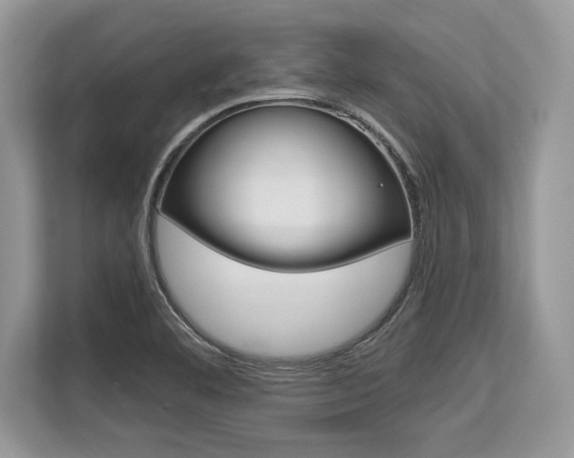 X0000113581460200909181010