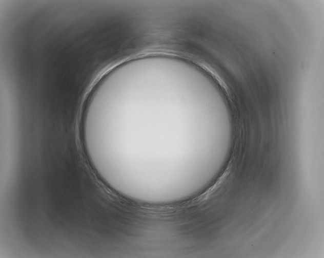 X0000113581461200909181010