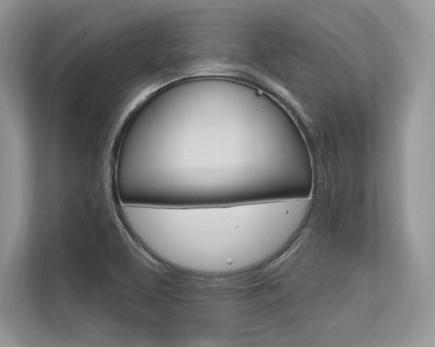 X0000113581463200909181010