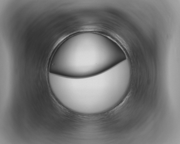 X0000113581465200909181010