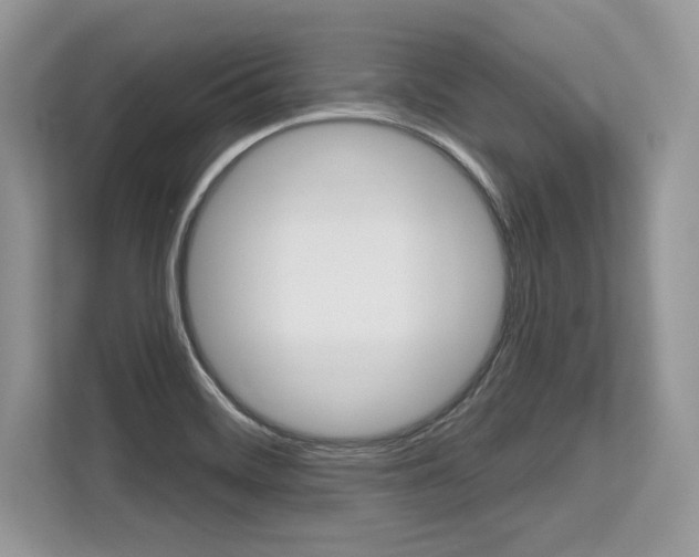 X0000113581468200909181010