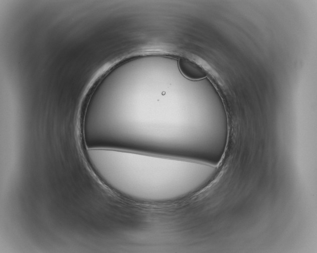X0000113581469200909181010