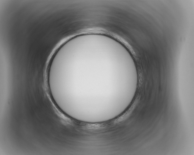 X0000113581470200909181010