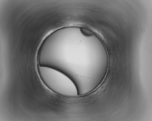 X0000113581471200909181010