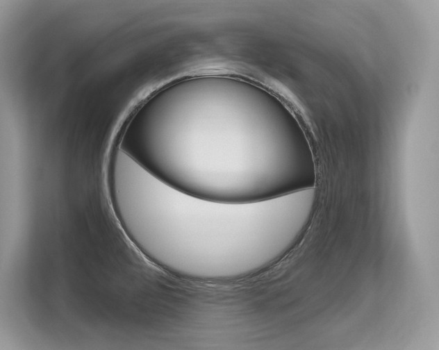 X0000113581472200909181010