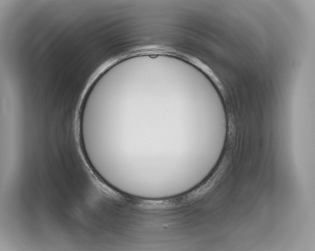 X0000113581474200909181010