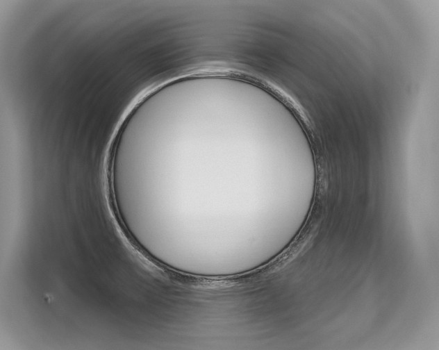 X0000113581475200909181010
