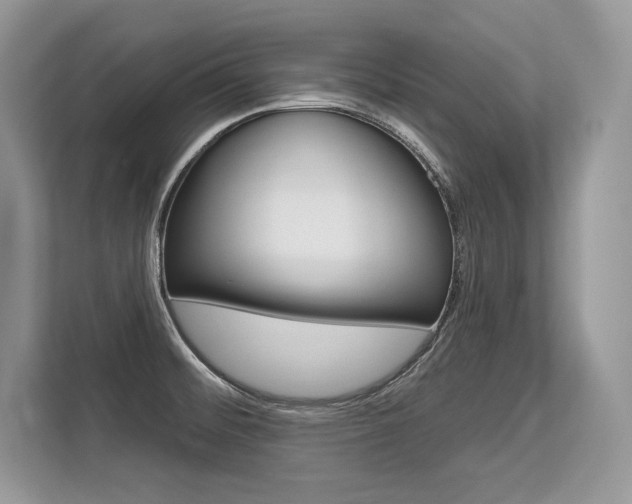 X0000113581476200909181010