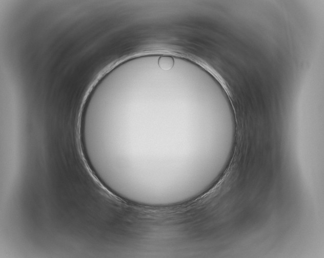 X0000113581477200909181010