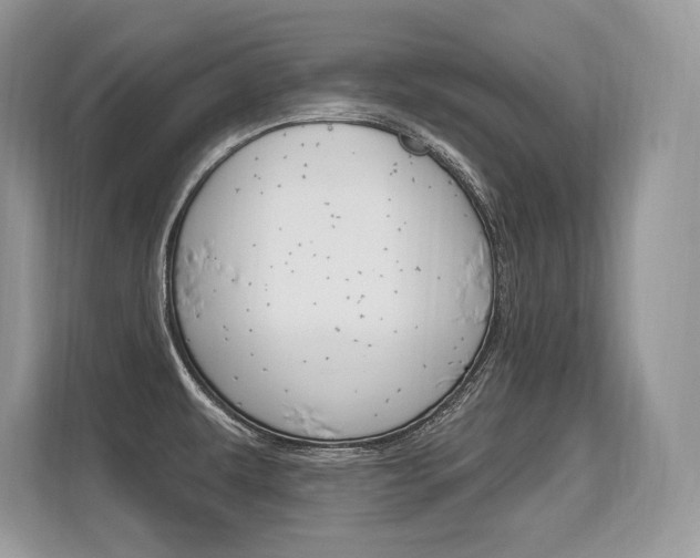X0000113581479200909181010