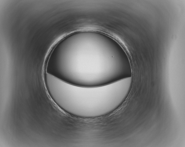 X0000113581480200909181010