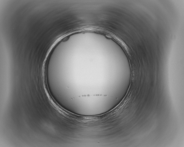 X0000113581483200909181010