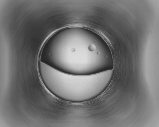 X0000113581484200909181009