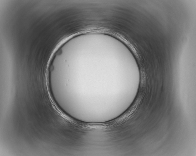 X0000113581486200909181009