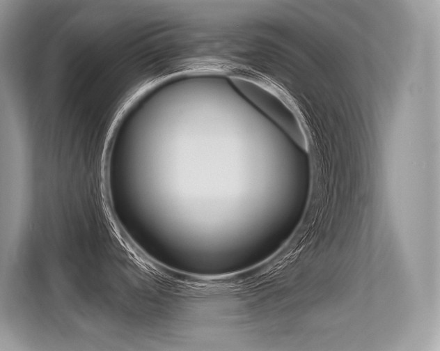 X0000113581488200909181009