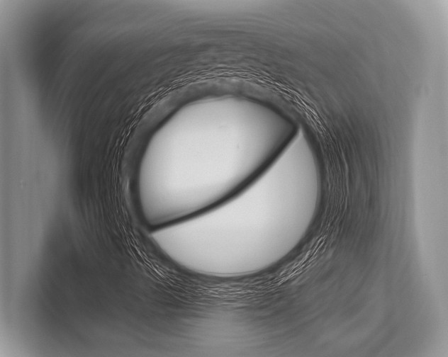 X0000113581489200909181009