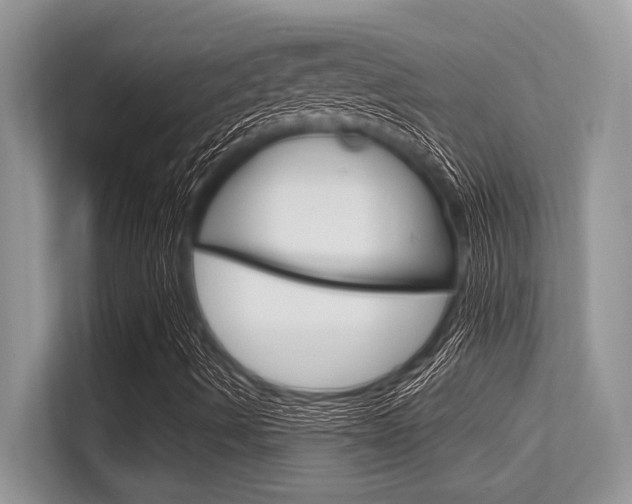 X0000113581490200909181009