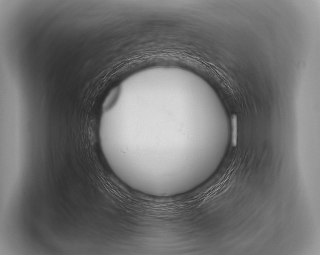X0000113581491200909181009