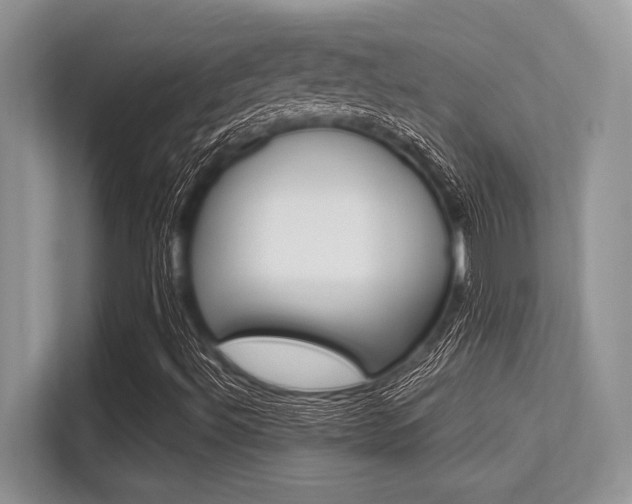 X0000113581492200909181009