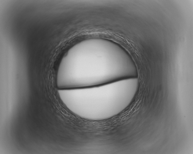 X0000113581493200909181009