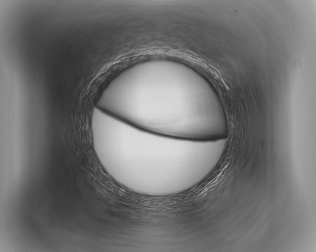 X0000113581494200909181009
