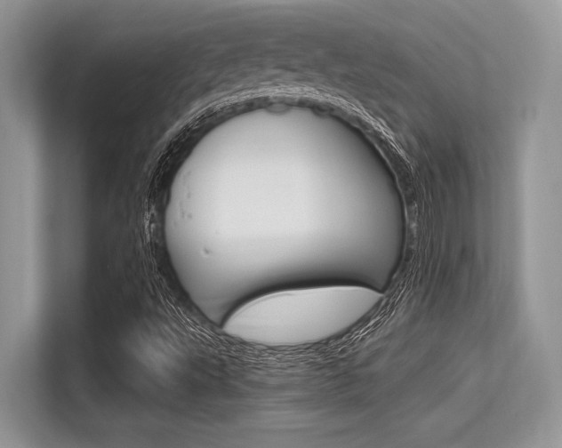 X0000113581495200909181009