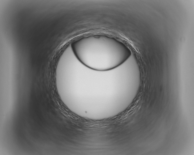 X0000113581496200909181009