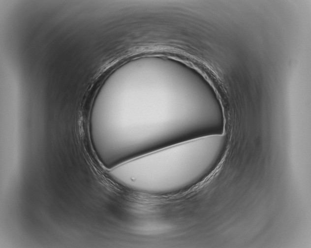 X0000113581497200909181009