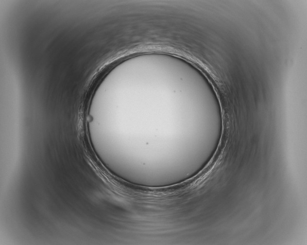 X0000113581499200909181009
