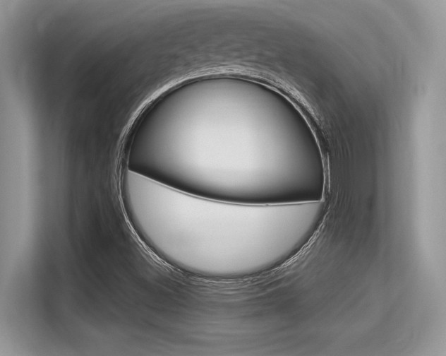 X0000113581500200909181009