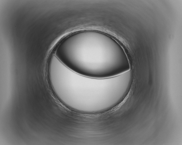 X0000113581502200909181009