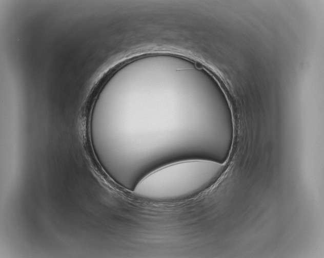 X0000113581503200909181009