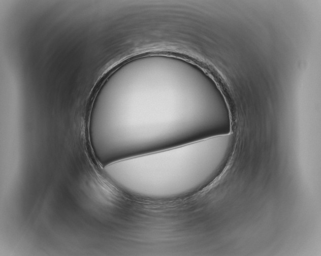 X0000113581505200909181009