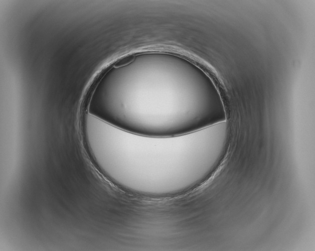 X0000113581506200909181009
