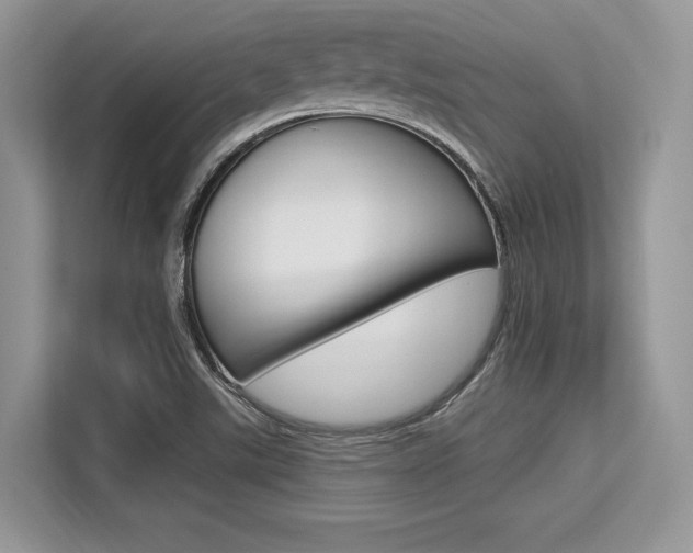 X0000113581507200909181009