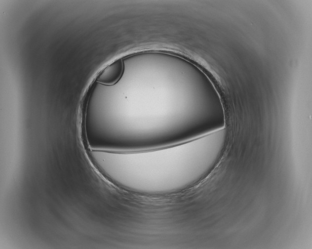 X0000113581508200909181009