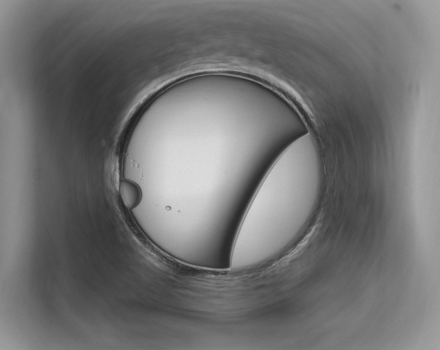 X0000113581509200909181009