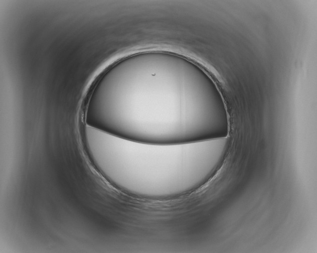 X0000113581510200909181009