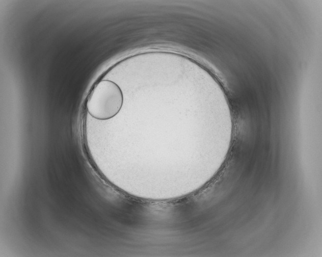 X0000113581514200909181009